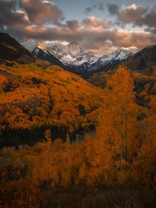 Instagram post by @austinpedersen__