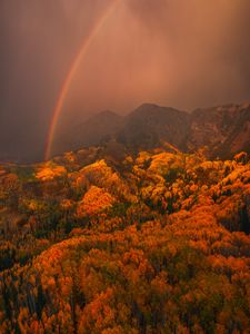 Instagram post by @austinpedersen__