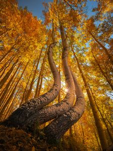 Instagram post by @austinpedersen__