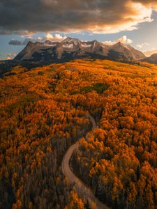 Instagram post by @austinpedersen__