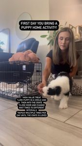 Instagram post by @sunnydoodles___arizona