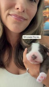 Instagram post by @sunnydoodles___arizona