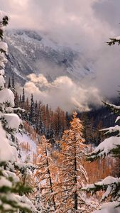 Instagram post by @another_adventure_gram