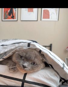 Instagram post by @nazidilcakir