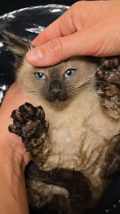 Instagram post by @shawnamarie20