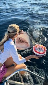 Instagram post by @juansharks