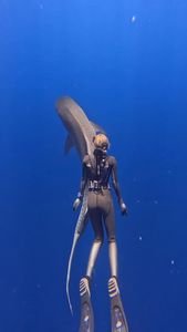 Instagram post by @juansharks