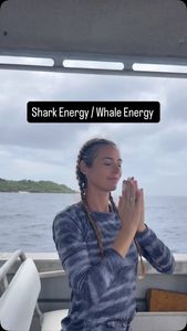 Instagram post by @juansharks