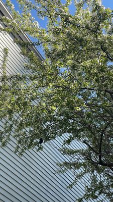 Instagram post by @danielyrios