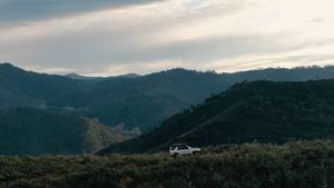 Instagram post by @warnerscorner