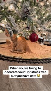 Instagram post by @biggygram