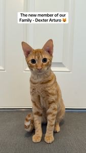 Instagram post by @biggygram