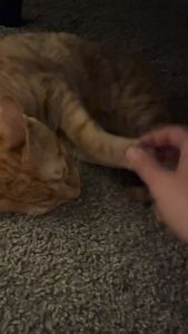 Instagram post by @biggygram