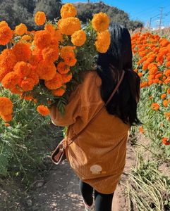 Instagram post by @raggedytiff