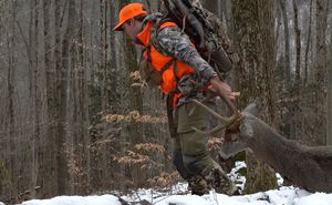 Instagram post by @beau.martonik