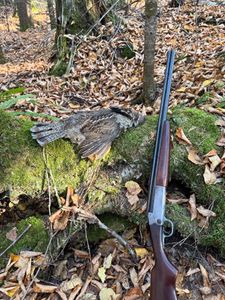 Instagram post by @beau.martonik