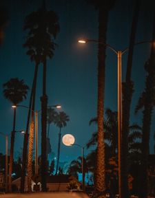 Instagram post by @ajenksimagery