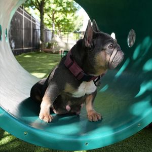 Instagram post by @whyangel