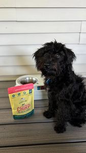 Instagram post by @mrsgreaux