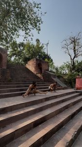 Instagram post by @myunuskurk