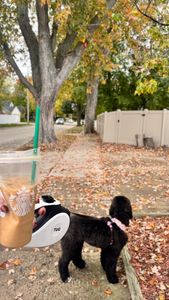 Instagram post by @sarameganroskopp