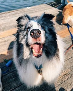 Instagram post by @jcsmith711