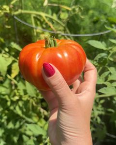 Instagram post by @jcsmith711