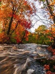 Instagram post by @k___elizabeth