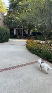 Instagram post by @oursouthernhome