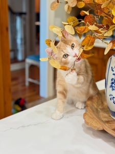 Instagram post by @oursouthernhome