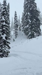 Instagram post by @scott.eyer