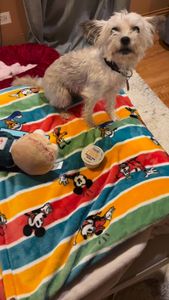 Instagram post by @ewwwzy