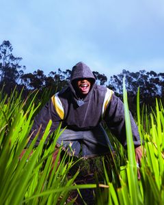 Instagram post by @bolxwa