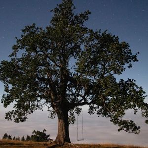 Instagram post by @erikpoppen_