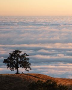 Instagram post by @erikpoppen_