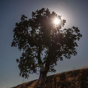 Instagram post by @erikpoppen_