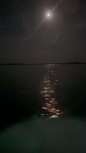 Instagram post by @fv_defiant