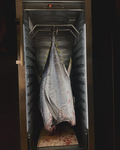 Instagram post by @fv_defiant