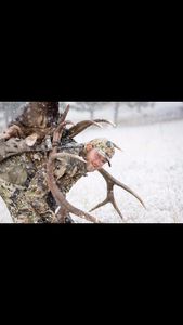 Instagram post by @fv_defiant