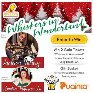 Instagram post by @eatdrinkcat