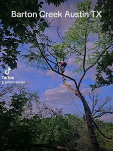 Instagram post by @districtofryan