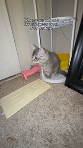 Instagram post by @_yunglimabean_