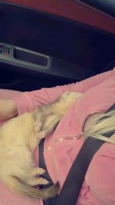 Instagram post by @chevygirlss