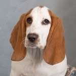 @reina.plant Instagram Profile