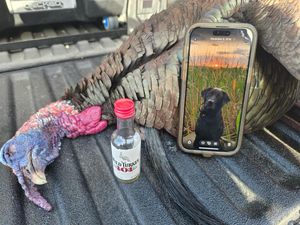 Instagram post by @mike_tussey