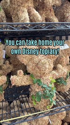 Instagram post by @loveofthemagic