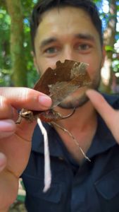 Instagram post by @phil_torres