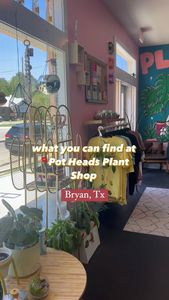 Instagram post by @lessyasleaves