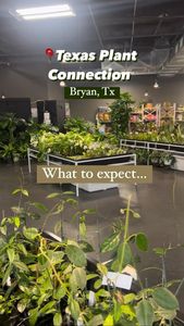 Instagram post by @lessyasleaves