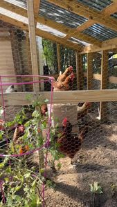 Instagram post by @hiralmixo